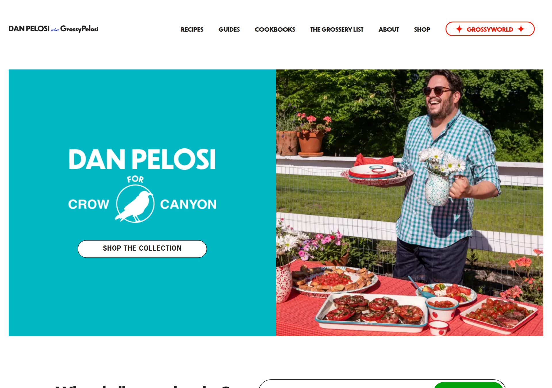 danpelosi.com homepage with campy badges